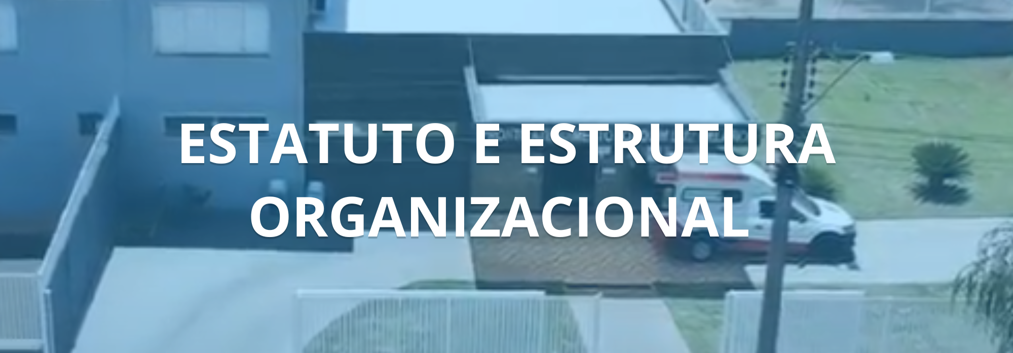 Estatuto e estrutura organizacional